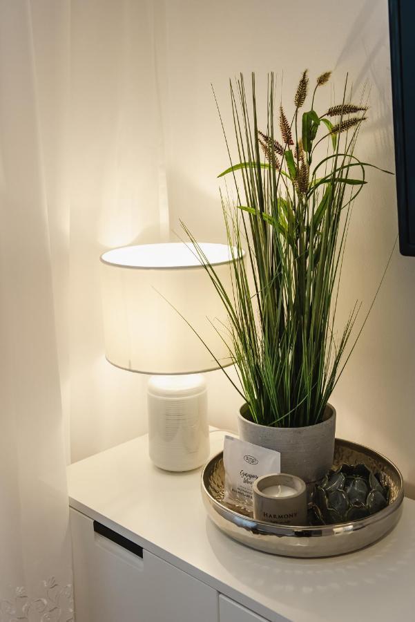 Apartament Witkiewicza Sanok Dış mekan fotoğraf